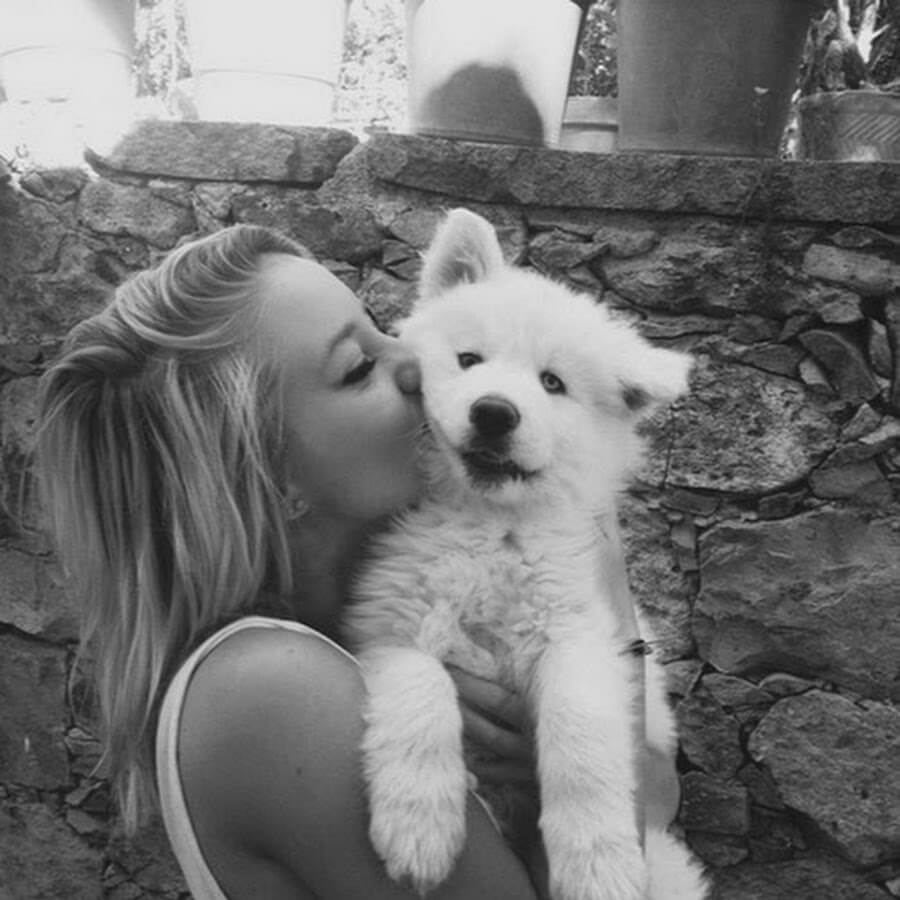 Evcil hayvanların taşınması: Güvenliğini sağlama : Kapak Görseli